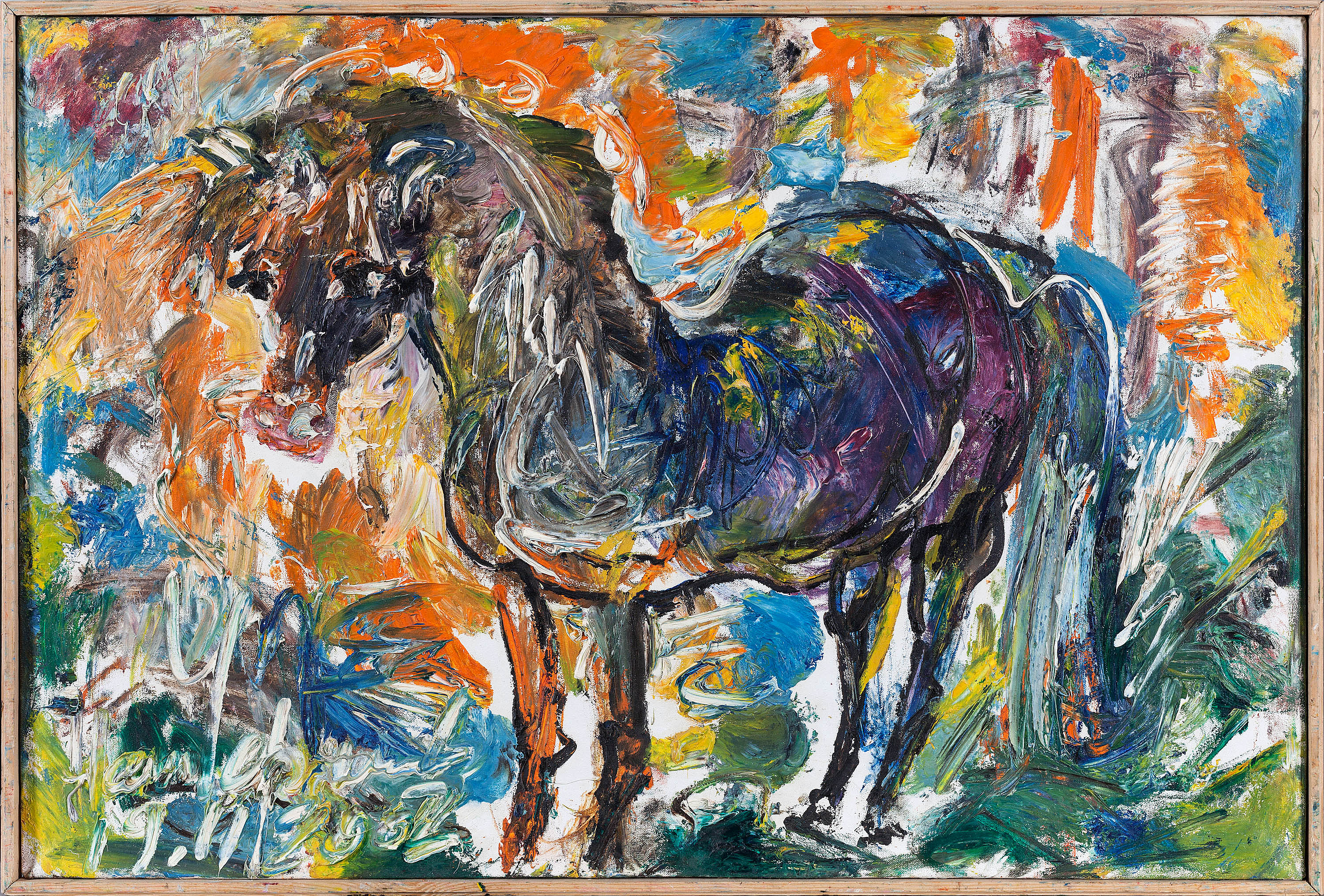 WILD HORSE